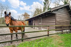 New for sale: Hoeverdijk 17, 5556 VZ Valkenswaard