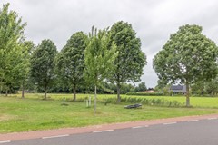 08672135_47.jpg