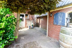 08698550_26.jpg