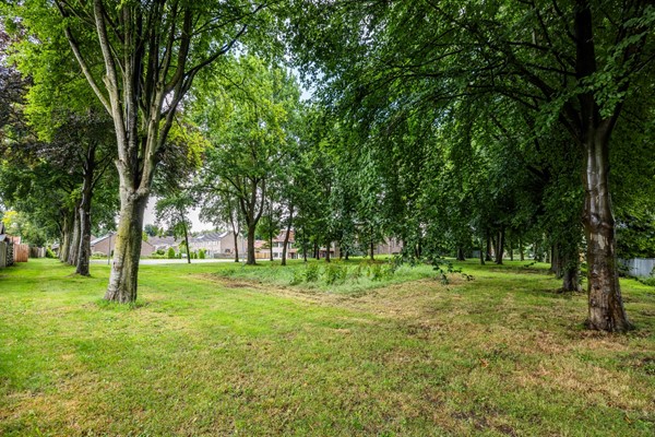 Medium property photo - Prinsenkamp 29, 7681 BA Vroomshoop