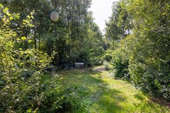 08732800_46.jpg