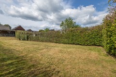 08745831_44.jpg
