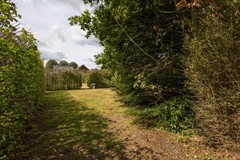 08745831_45.jpg