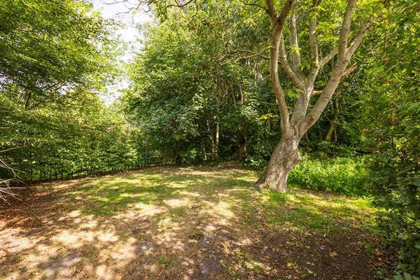 Medium property photo - Vriezenveenseweg 31, 7681 DS Vroomshoop