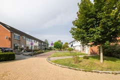 08752967_47.jpg