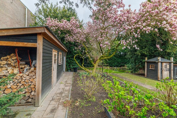 Medium property photo - Hammerstraat 4, 7681 DC Vroomshoop