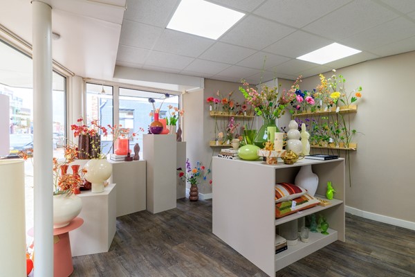 Medium property photo - Hammerstraat 4, 7681 DC Vroomshoop