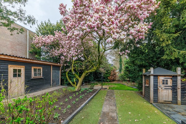 Medium property photo - Hammerstraat 4, 7681 DC Vroomshoop