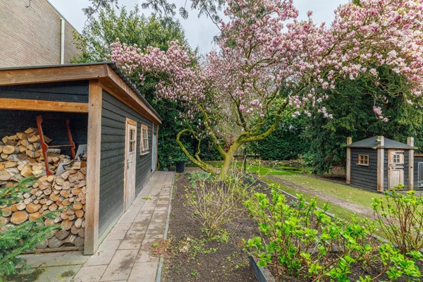 Medium property photo - Hammerstraat 4, 7681 DC Vroomshoop