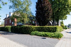 08996174_31.jpg