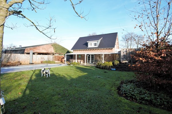 IMG_1243 (2) (Medium).jpg 16