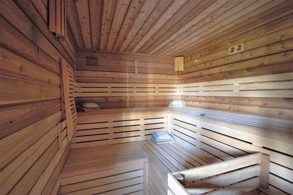 IMG_1251 (2) (Medium).jpg 19