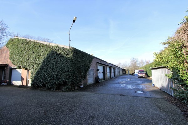 IMG_1261 (2) (Medium).JPG 22