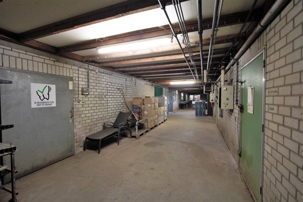 IMG_1263 (2) (Medium).jpg 23