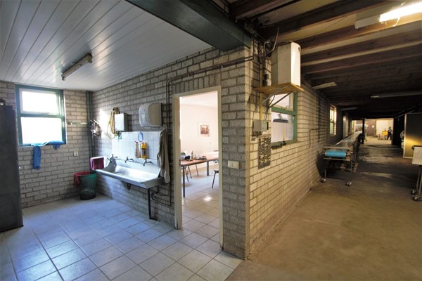 IMG_1264 (2) (Medium).jpg 24