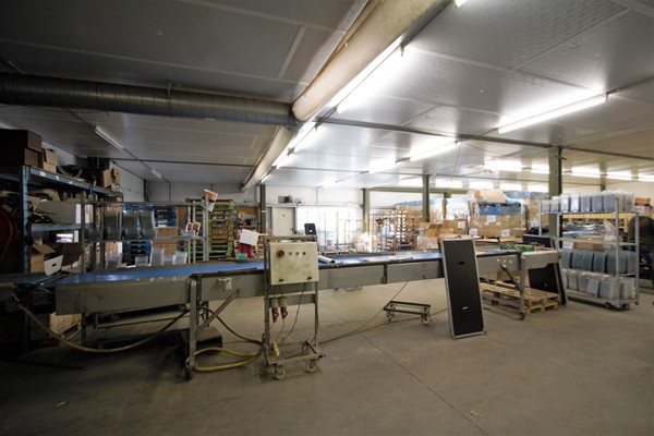 IMG_1267 (2) (Medium).jpg 25