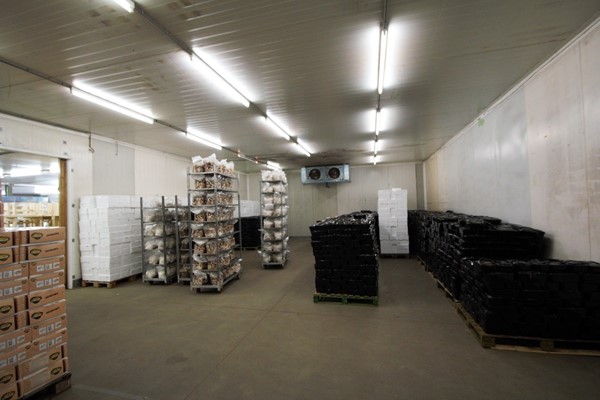 IMG_1270 (2) (Medium).jpg 26