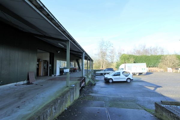 IMG_1278 (2) (Medium).JPG 29