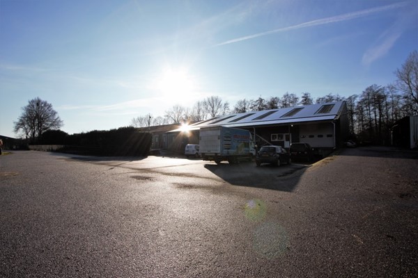 IMG_1279 (2) (Medium).jpg 30