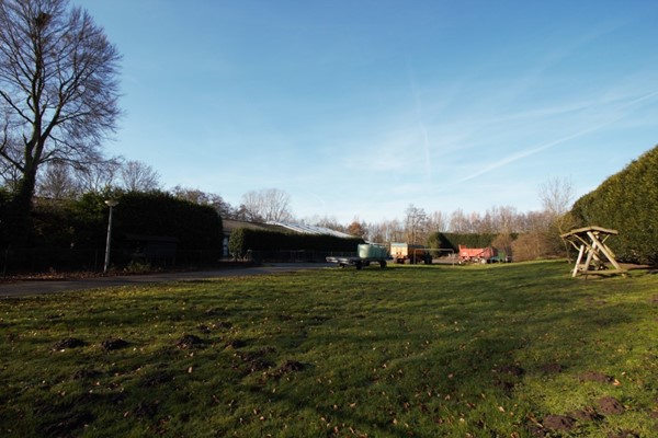 IMG_1281 (2) (Medium).jpg 31