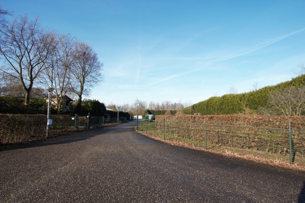 IMG_1282 (2) (Medium).jpg 32