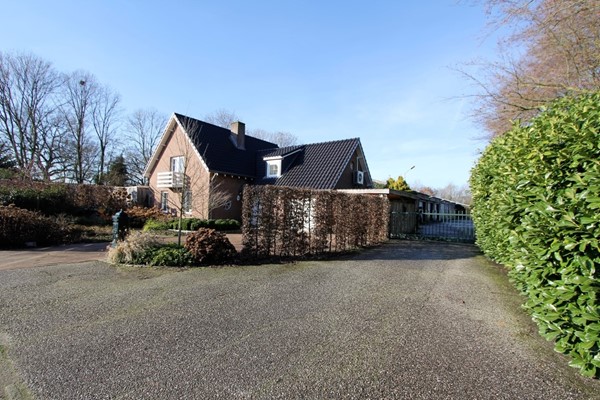 IMG_1287 (2) (Medium).JPG 33