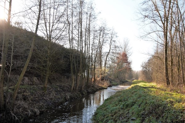 IMG_1288 (2) (Medium).jpg 34