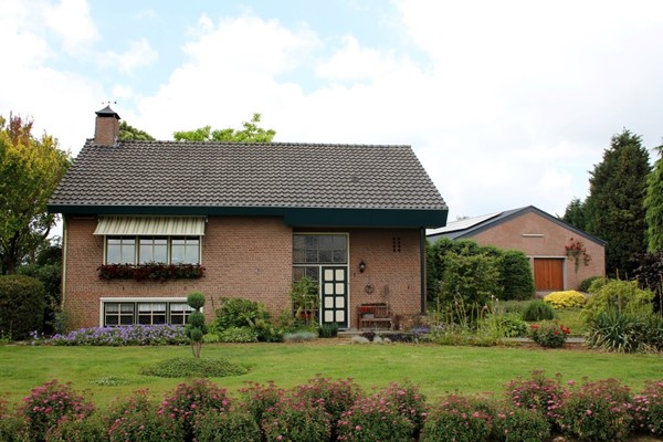 IMG_2574 (2) (Medium).JPG 3