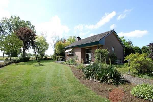 IMG_2389 (2) (Medium).JPG 2