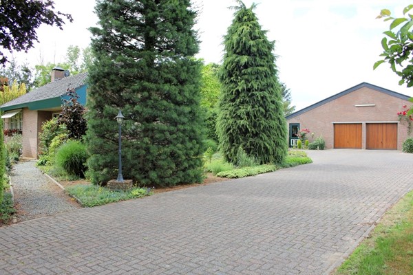 IMG_2576 (2) (Medium).JPG 6