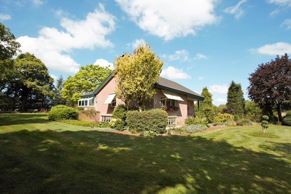 IMG_2376 (2) (Medium).jpg 7