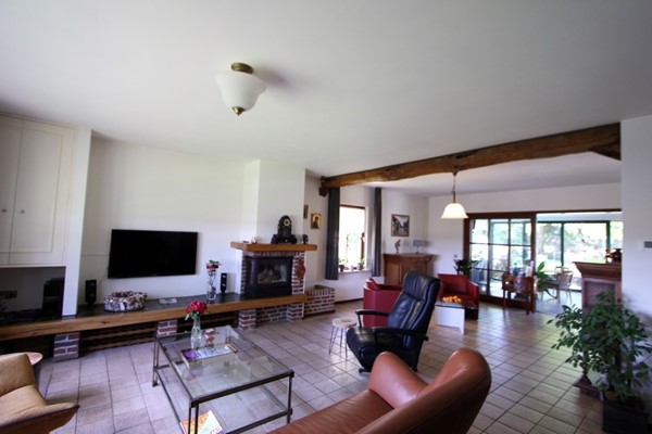 IMG_2490 (2) (Medium).JPG 8