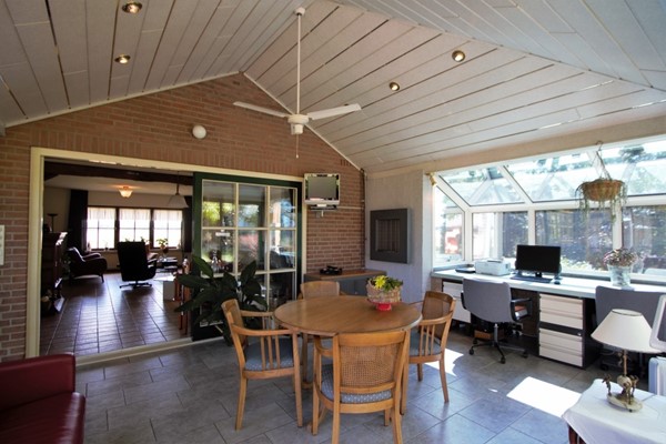 IMG_2508 (2) (Medium).jpg 13