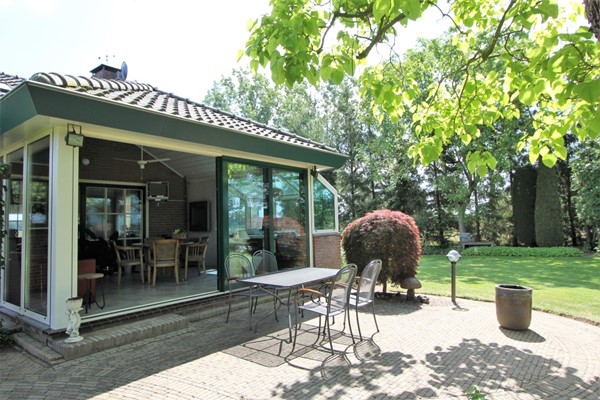 IMG_2511 (2) (Medium).JPG 14