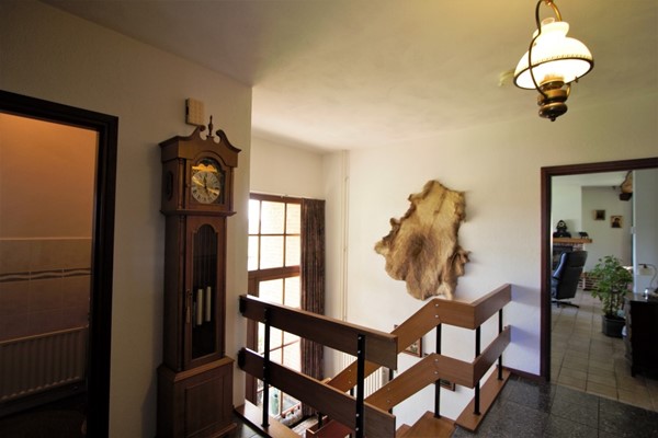 IMG_2521 (2) (Medium).jpg 19