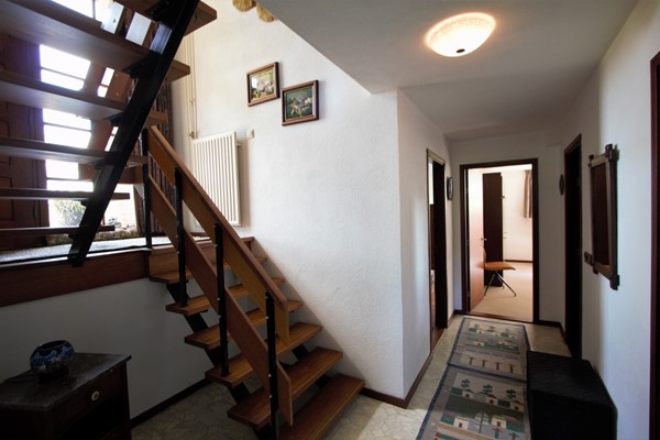 IMG_2529 (2) (Medium).jpg 21