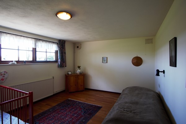 IMG_2536 (2) (Medium).jpg 23