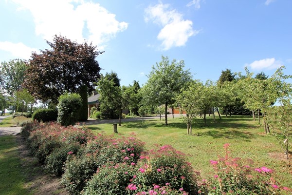 IMG_2409 (2) (Medium).JPG 27