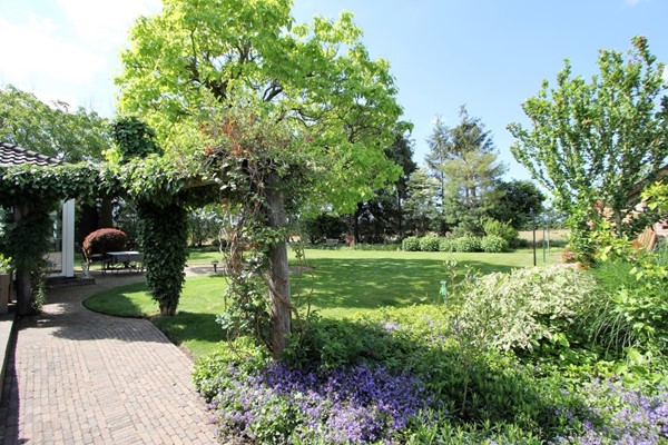 IMG_2419 (2) (Medium).JPG 28