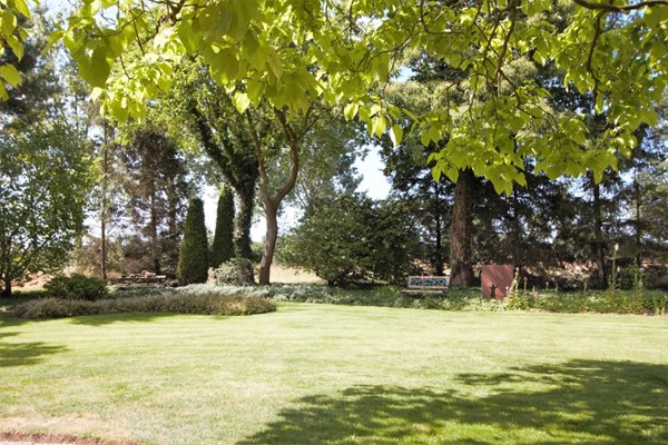 IMG_2425 (2) (Medium).jpg 29