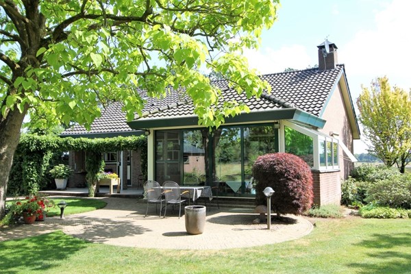 IMG_2433 (2) (Medium).JPG 30