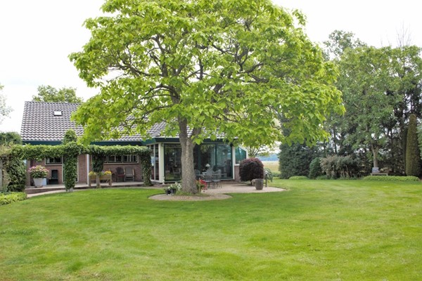 IMG_2556 (2) (Medium).jpg 32