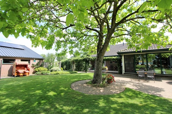 IMG_2461 (2) (Medium).JPG 34