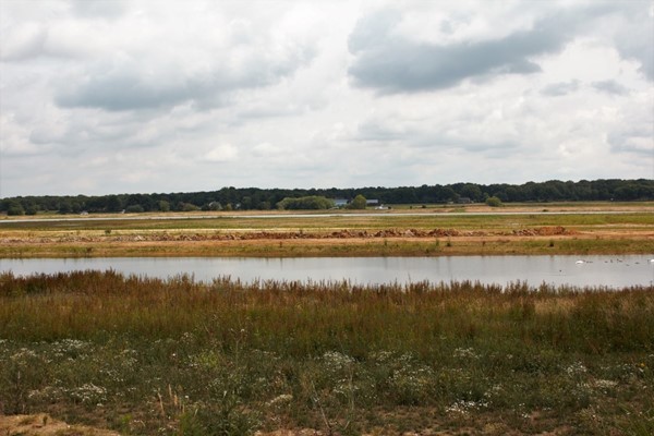 IMG_2590 (2) (Medium).jpg 40