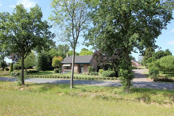 IMG_2399 (2) (Medium).JPG 42