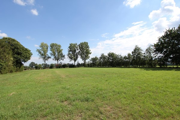 IMG_2865 (Medium).JPG 44