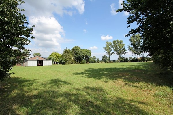 IMG_2866 (Medium) (2).JPG 5