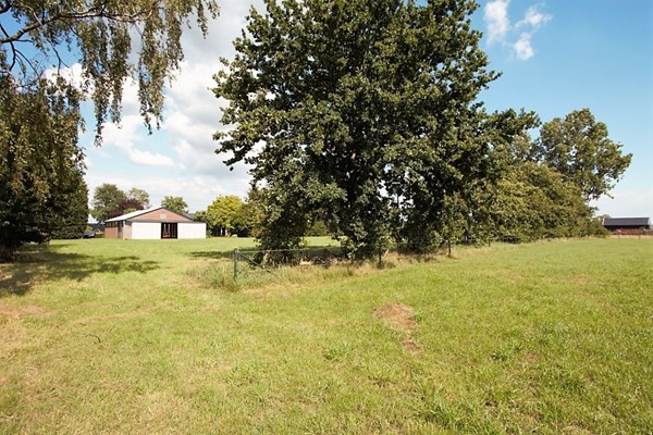 IMG_2869 (Medium) (2).jpg 43