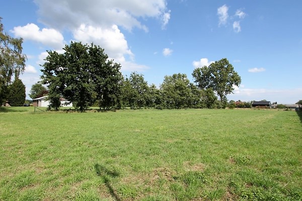 IMG_2872 (Medium) (2).JPG 45