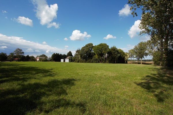 IMG_2875 (Medium).jpg 46